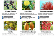 Load image into Gallery viewer, Mitolyn