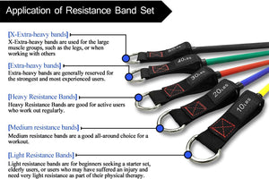 TheFitLife Resistance Bands