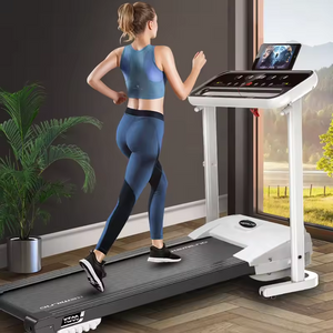 Multifunctional Treadmill